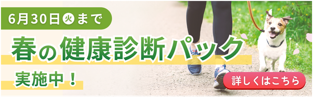春の予防キャンペーン実施中！