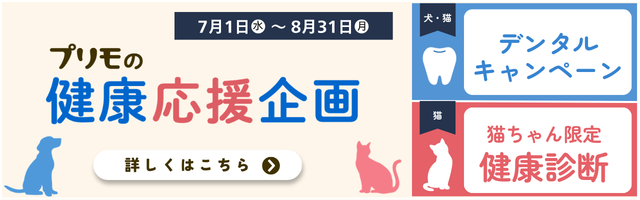 プリモの健康応援企画