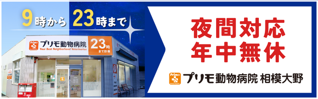 23時HPバナー